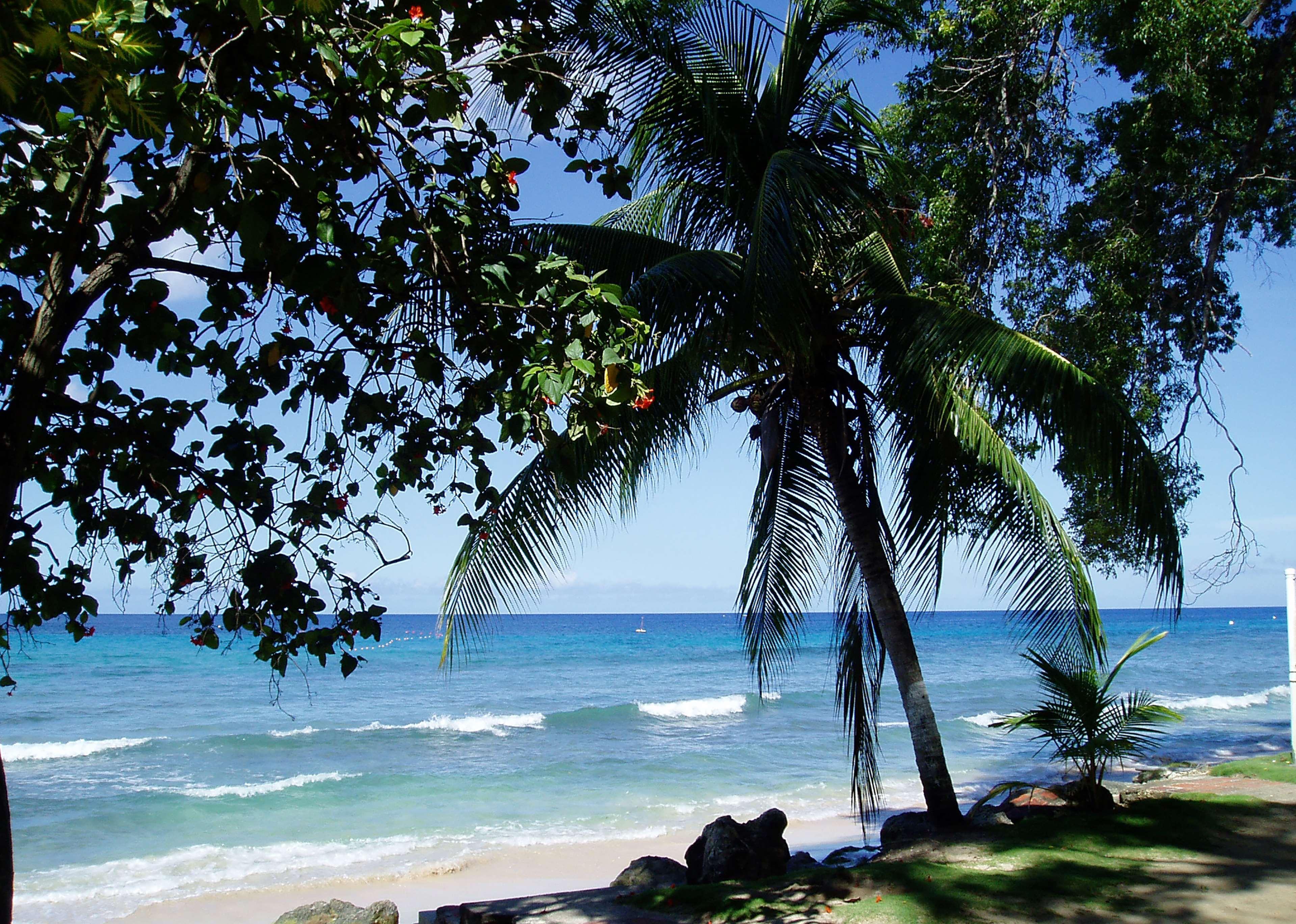 Divi Southwinds Beach Resort Christchurch Eksteriør billede